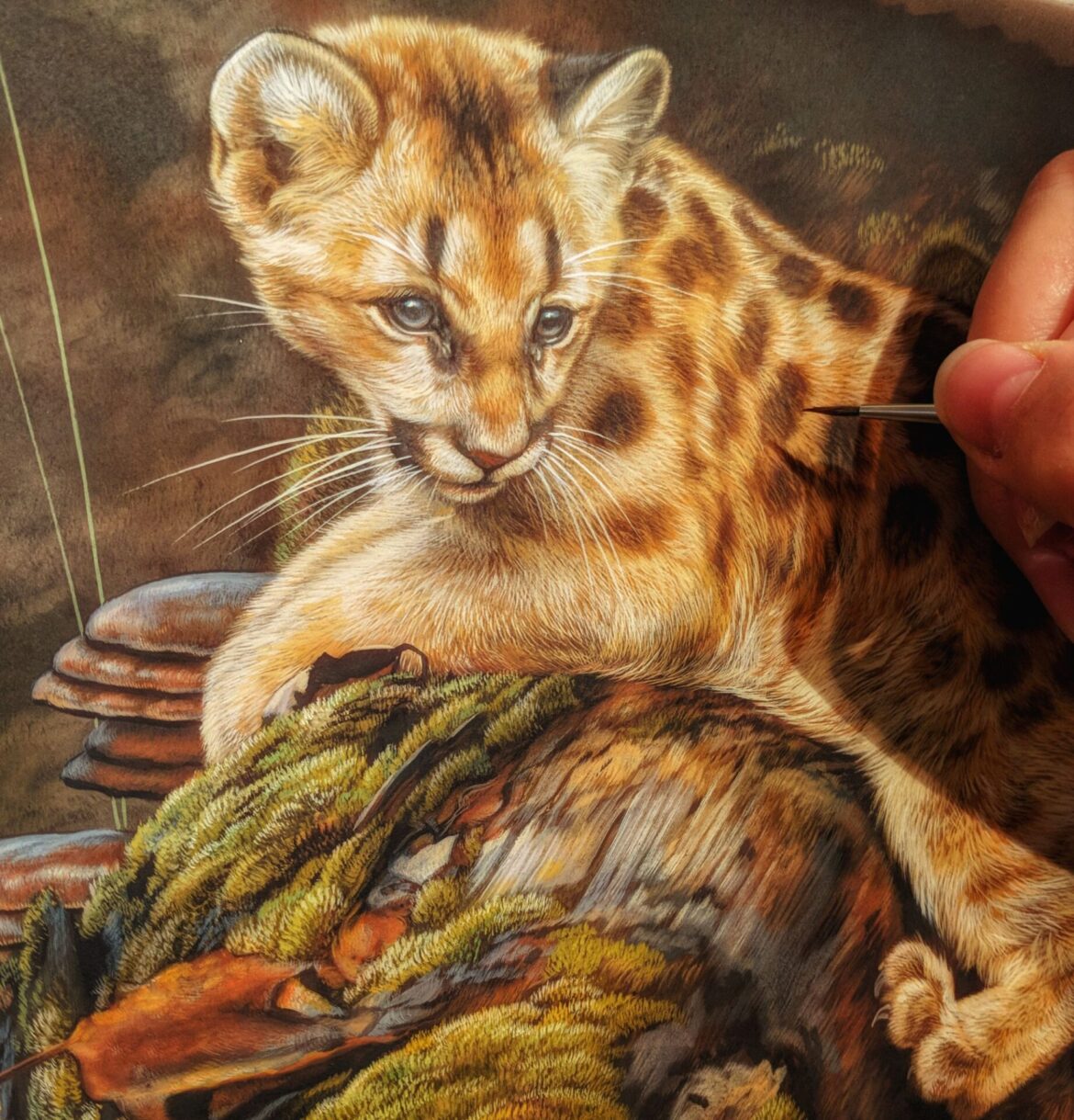 Mountain Lion Kitten, Rebecca Latham, Opaque & transparent watercolor on museum board