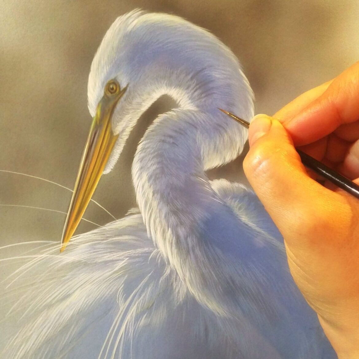 Great Egret, Rebecca Latham, Opaque & transparent watercolor on museum board