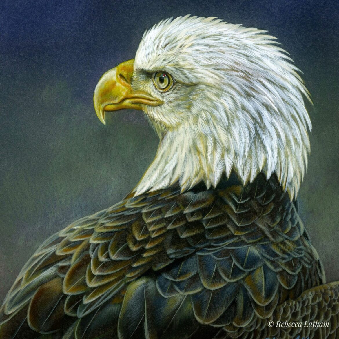 Eagle Migration Along Lake Pepin: A Winter Spectacle