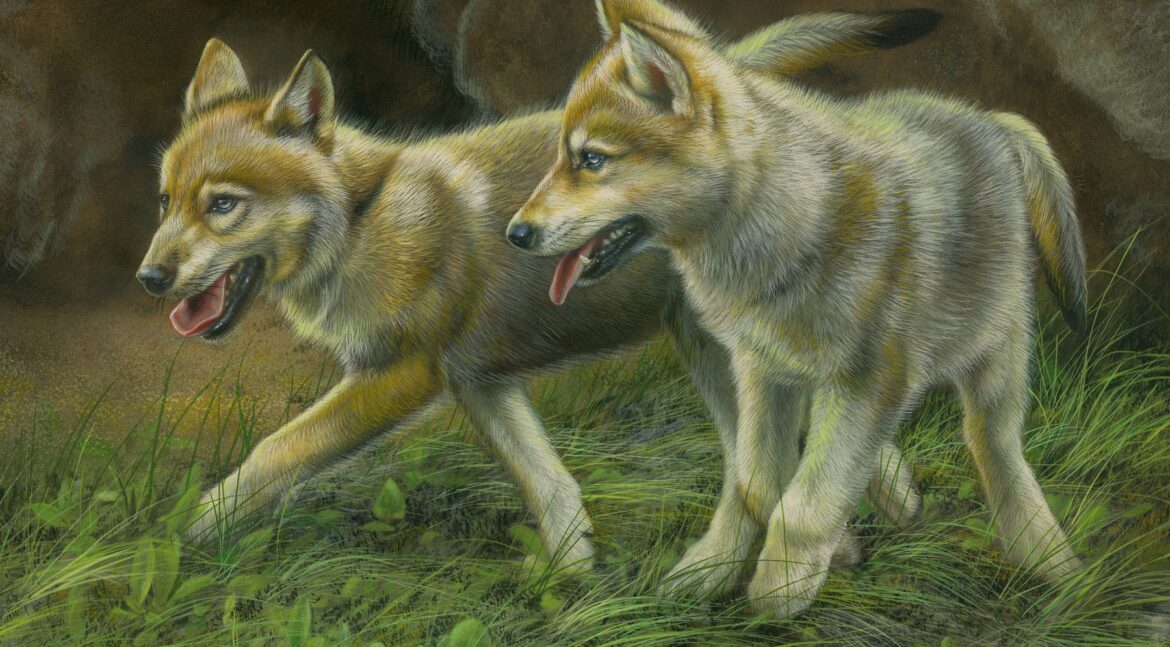 Wildlife & Fine Art: Capturing the Silent Mastery of Nature