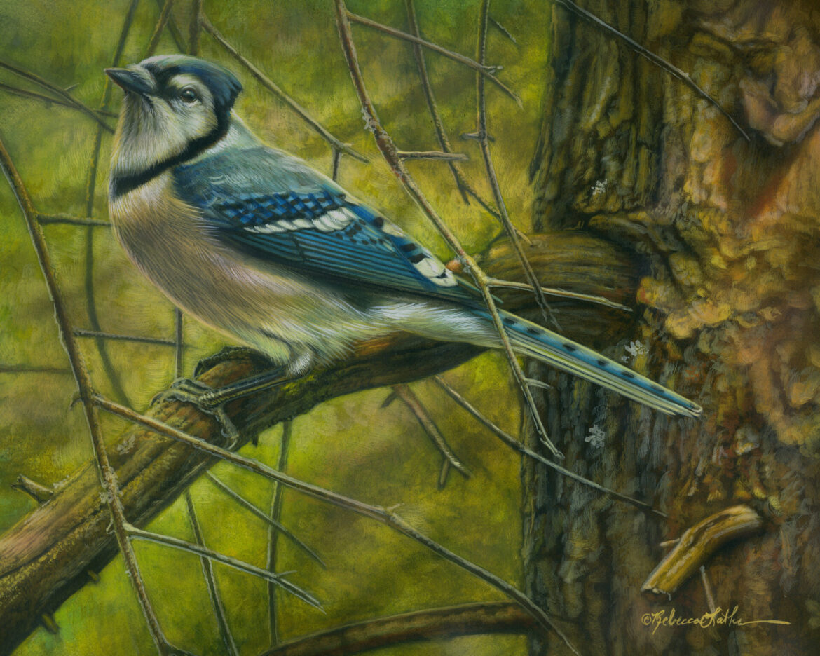 Honored to Receive the H. Samuel Slater Memorial Award