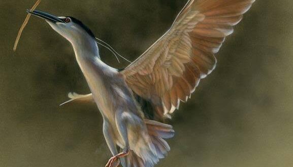 Moments Before Movement: The Power of Stillness in Wildlife Art