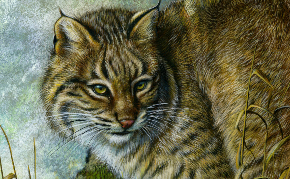 Art & Conservation: How Fine Art Preserves Awareness