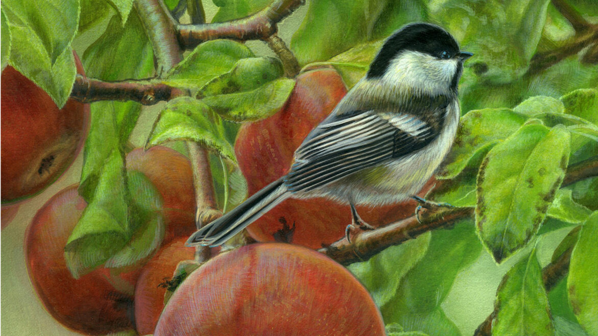 The Rhythm of Realism – The Fine Details: How Texture & Light Bring Wildlife to Life