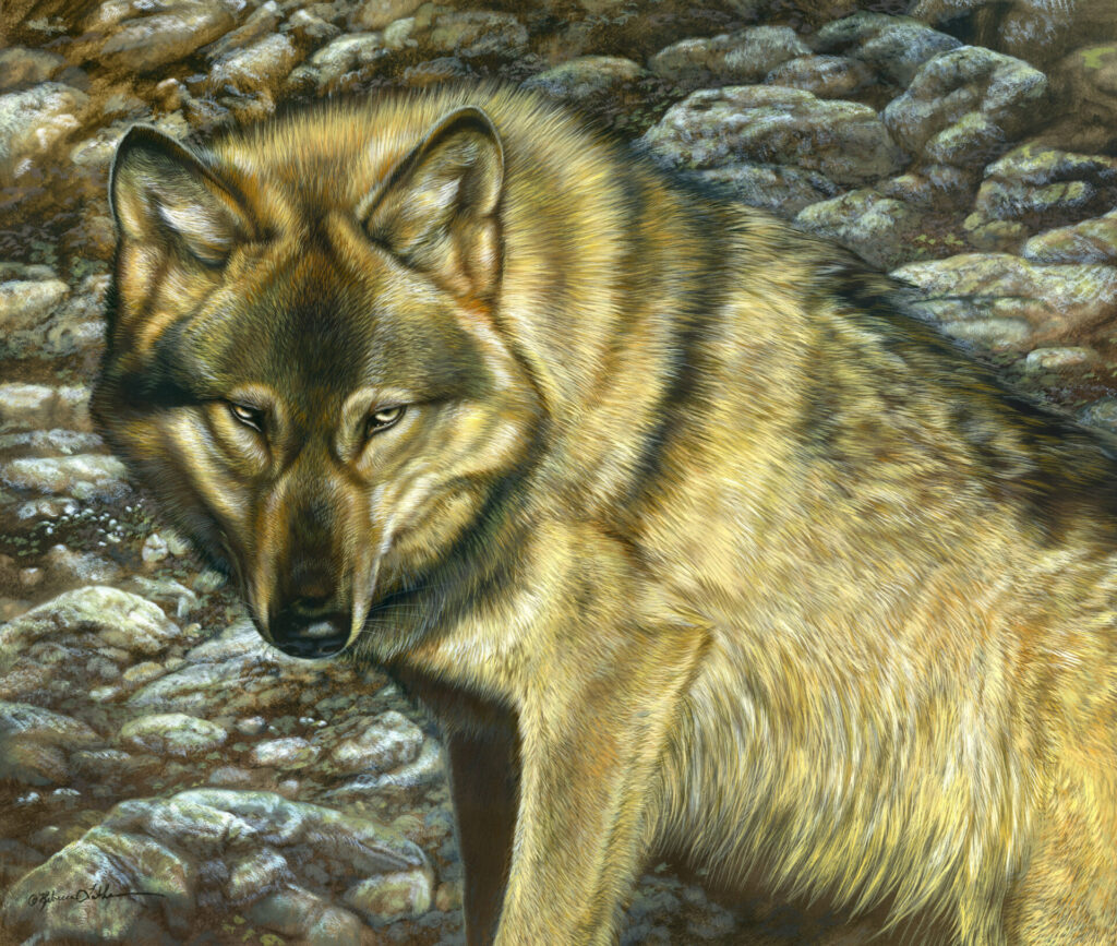 Edge of Awareness – Wolf, Opaque & transparent watercolor on museum board, 17" x 20", Rebecca Latham