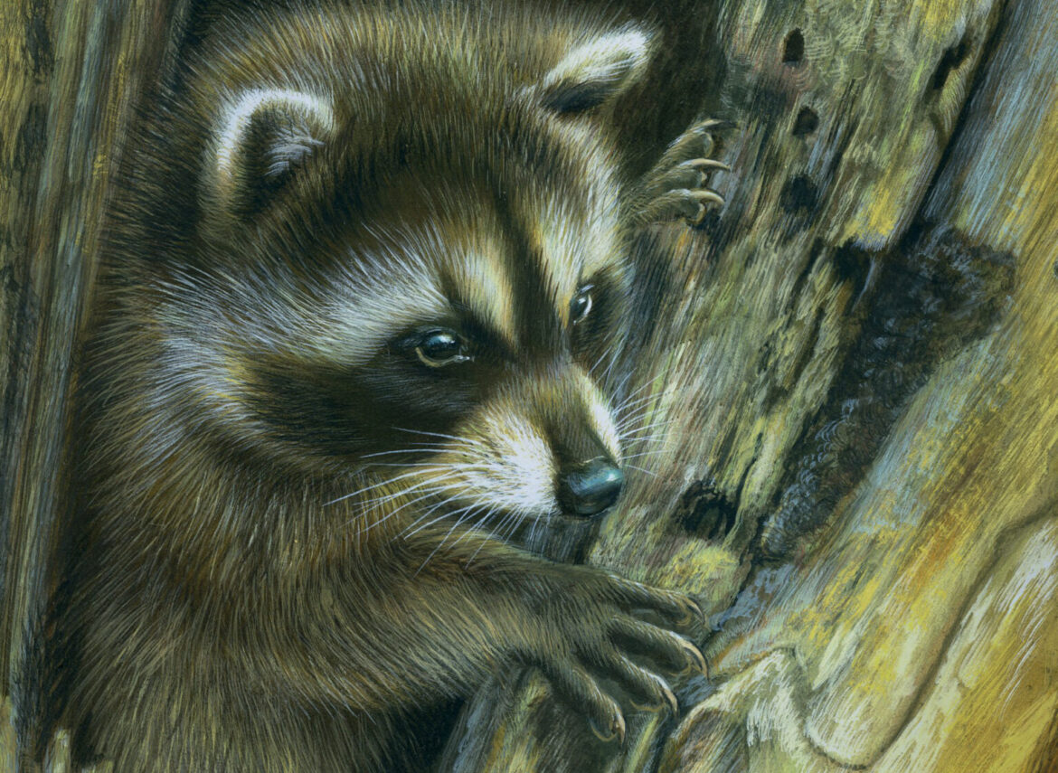 Painting as a Meditation: The Role of Art in Mindfulness and Focus