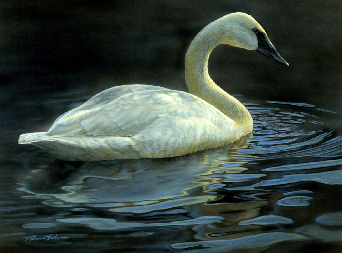 Reflections on Conservation: How Wildlife Art Preserves the Untamed World