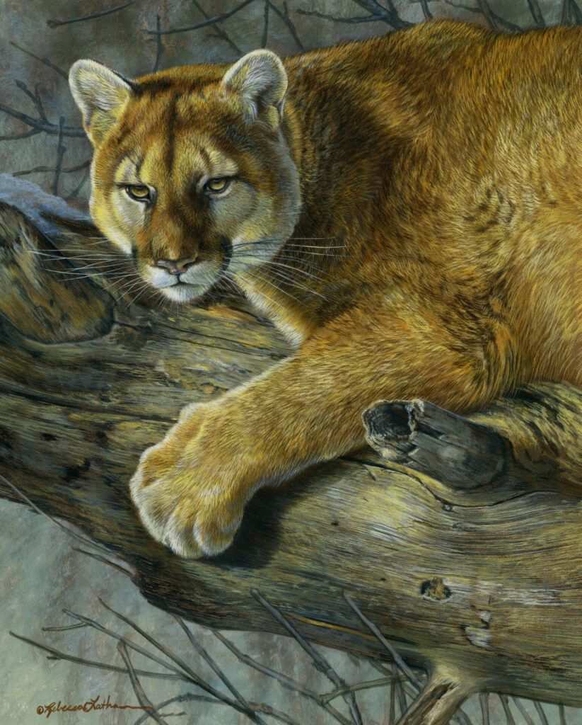 Strength in Stillness, 11x14, Opaque & transparent watercolor on museum board, Rebecca Latham