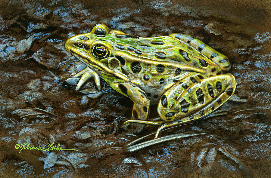 Fine Art As Memory: How Painting Preserves Nature’s Legacy