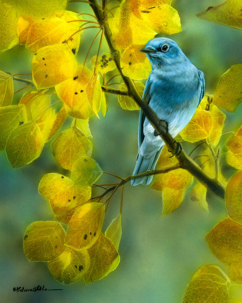 Mountain Blue, Rebecca Latham, Opaque & transparent watercolor on museum board, 8x10