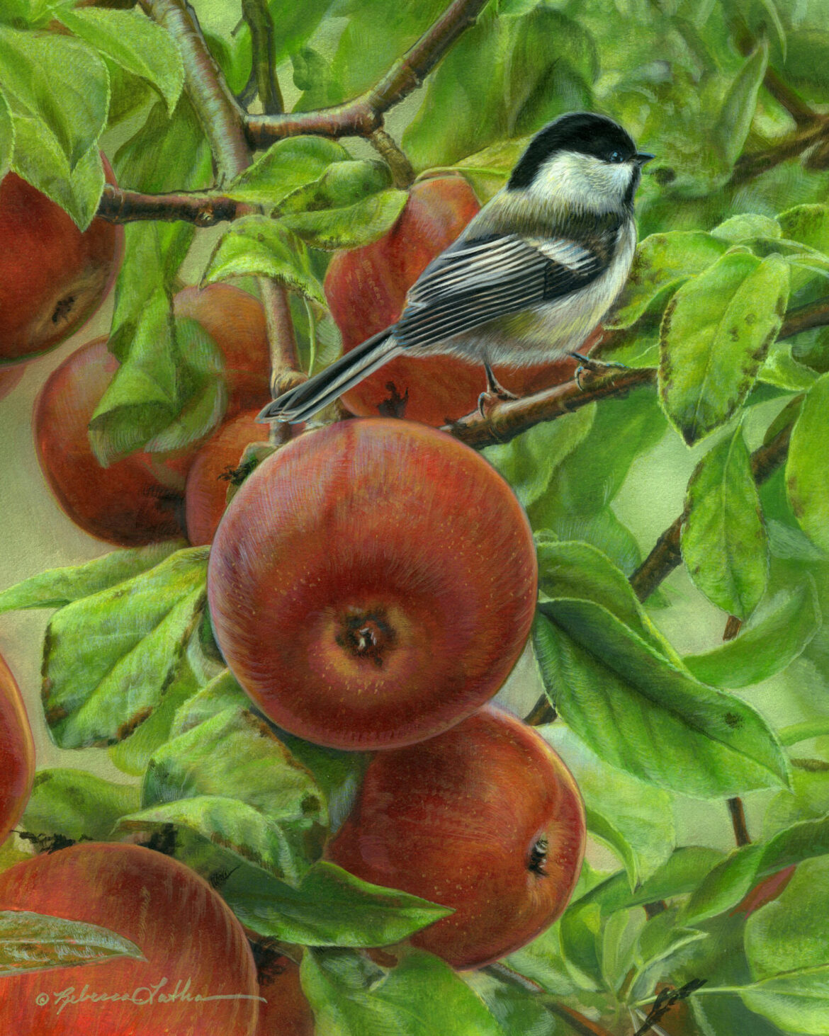 Reinvention as a Lifelong Companion: Nature’s Gentle Cycles in Art and Life