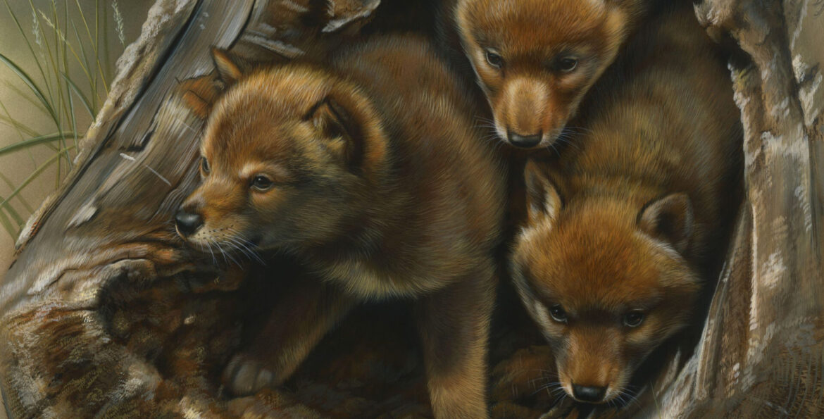 Why I Believe in Lifelong Learning