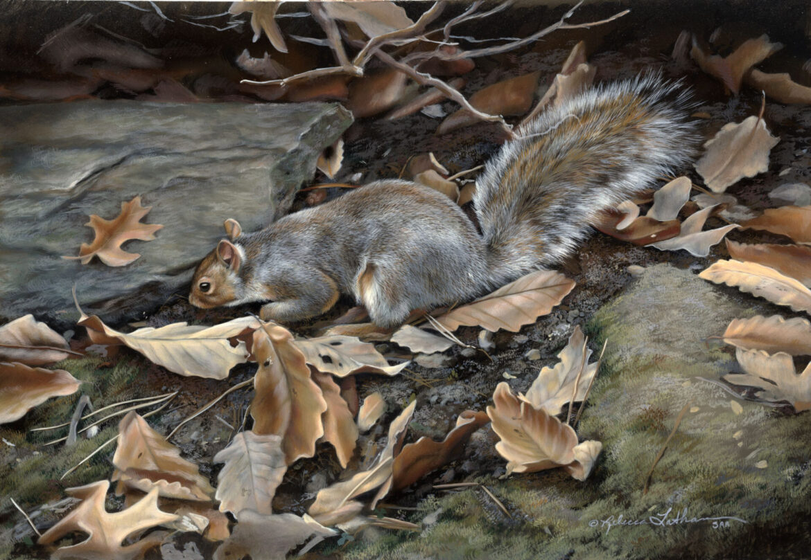 The Role of Realism in Wildlife Art: An Interview with Rebecca Latham