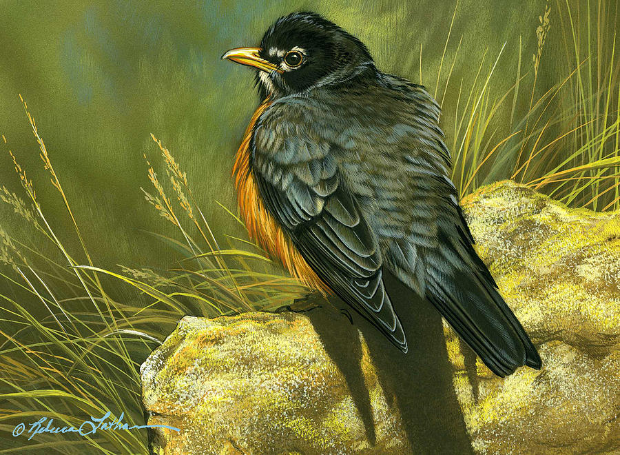 Nature’s Quiet Fire Becoming Artist’s Strength