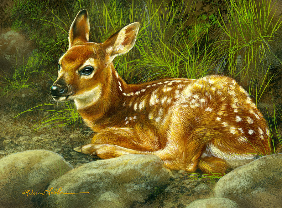 The Quiet Discipline Behind a Single Brushstroke