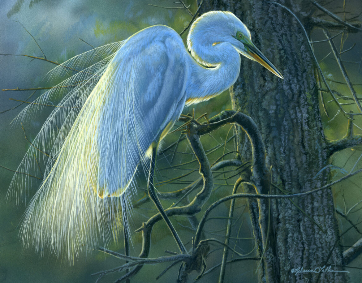 20th International IGOR Exhibition – The Edge of Light-Great Egret
