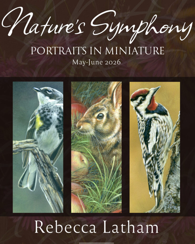 Nature’s Symphony: Portraits in Miniature presents a collection of finely detailed watercolor studies that explore quiet moments in the natural world. Working at an intimate scale, Rebecca Latham focuses on subtle gesture, light, and texture, inviting close observation and reflection. Each piece contributes to a larger visual rhythm, emphasizing the beauty, presence, and interconnectedness of wildlife and their environments.