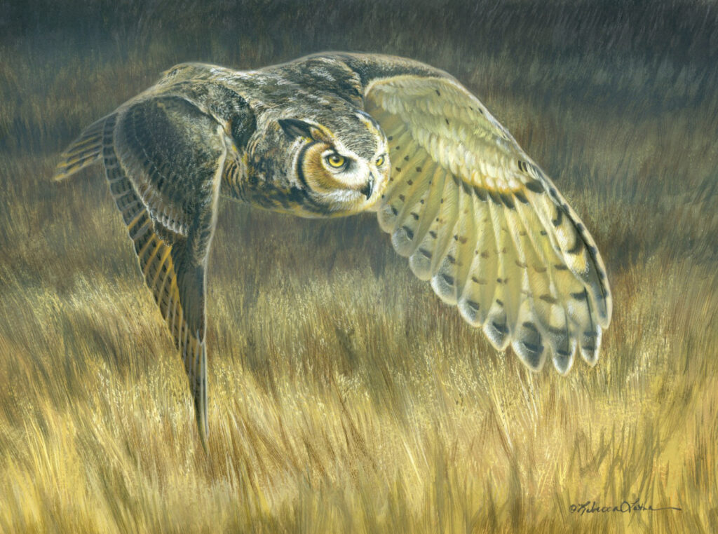 Silent Pursuit – Great Horned Owl, 12"x9", Opaque and Transparent Watercolor on Museum Board, Rebecca Latham