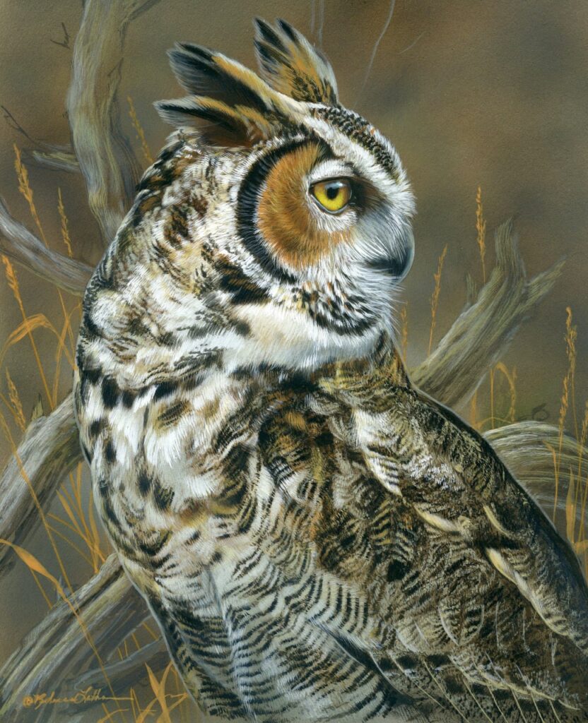 Wisdom in Stillness – Great Horned Owl Portrait, 8"x10", Opaque and Transparent Watercolor on Museum Board, Rebecca Latham