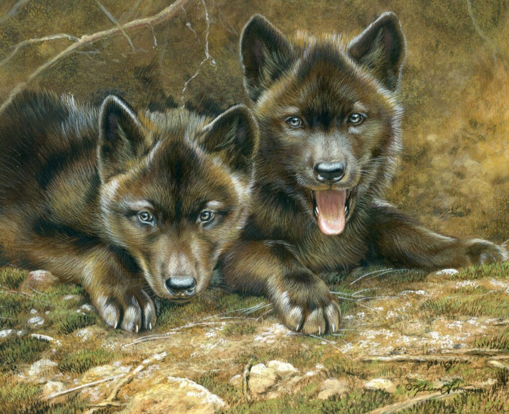 Den Companions – Wolf Puppies, 10"x8", Opaque and Transparent Watercolor on Museum Board, Rebecca Latham