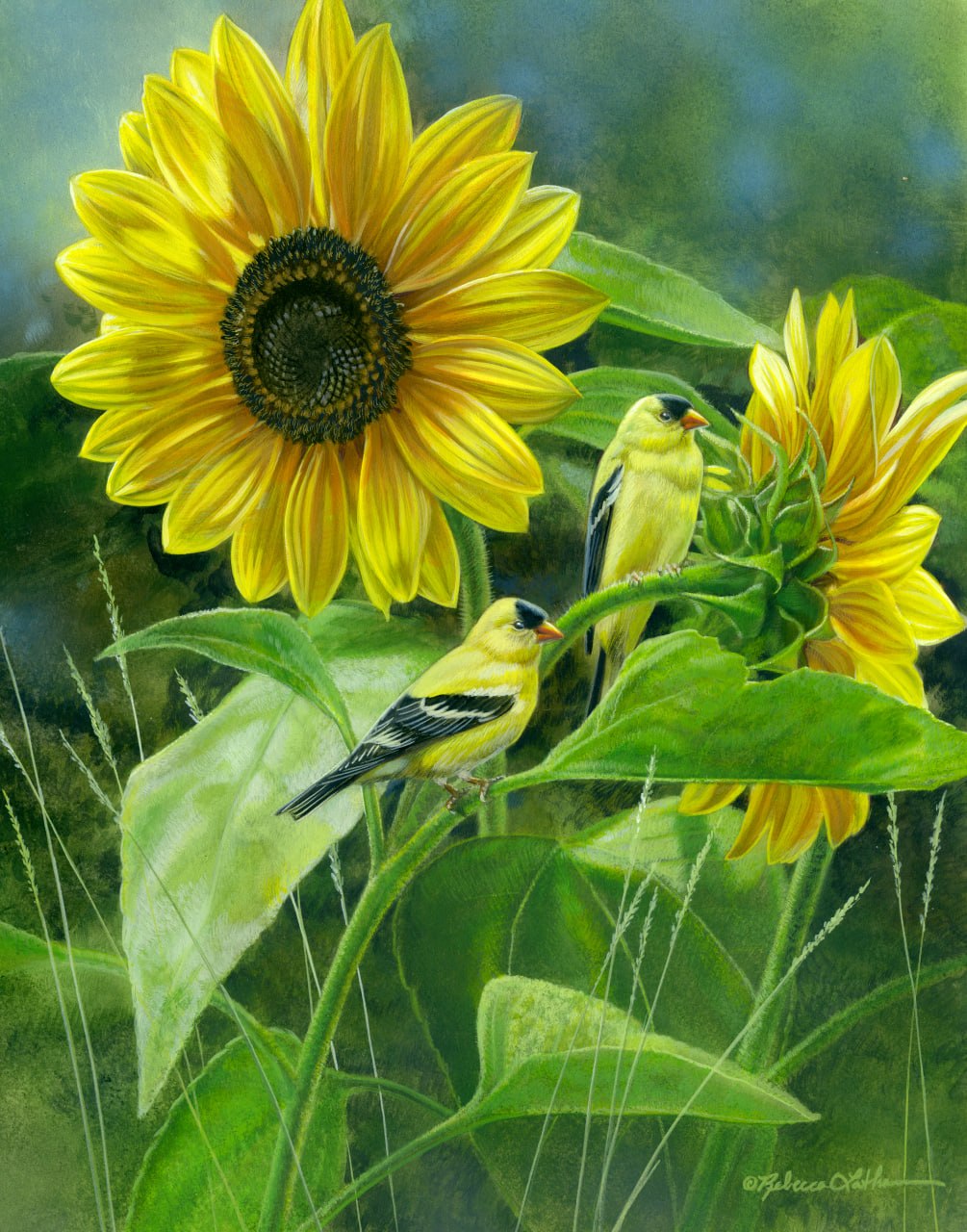 Salmagundi Club 48th Annual Open Exhibition