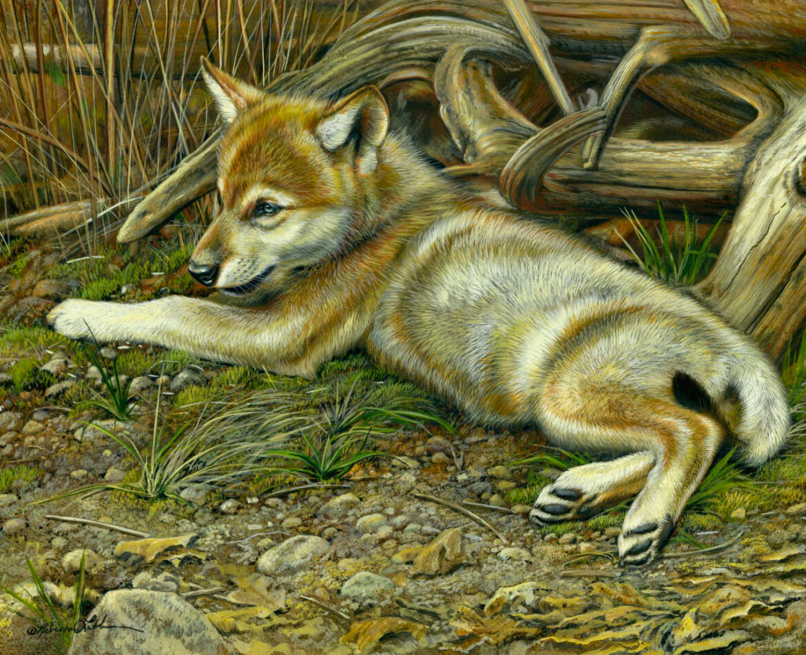 Hunter’s Lounge in Artists for Conservation 2026