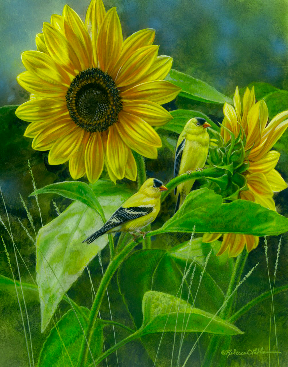 48th Salmagundi Open now on show in NYC June 9-26