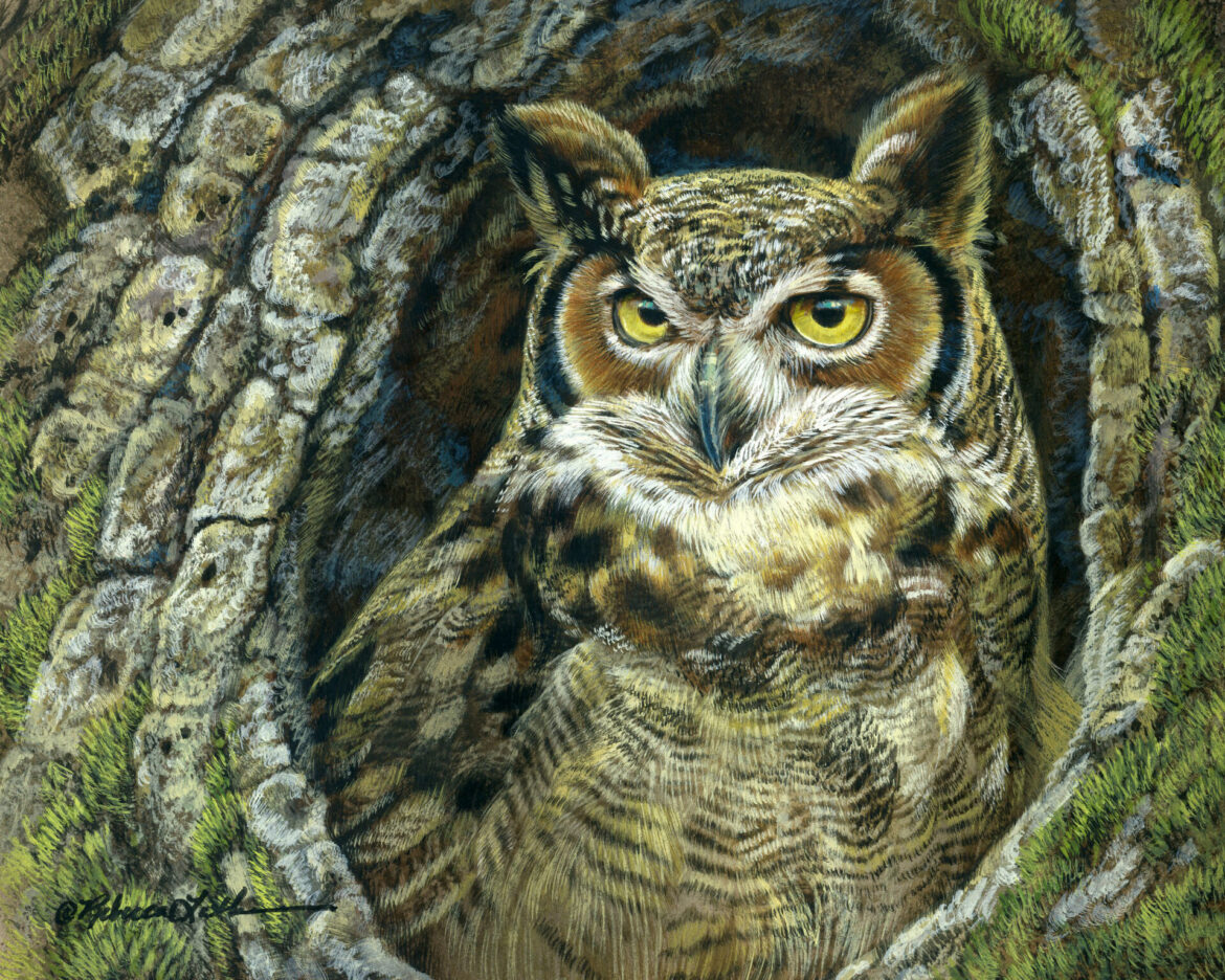 Hollow Sentinel - Great Horned Owl, 8x10", opaque & transparent watercolor on museum board, Rebecca Latham