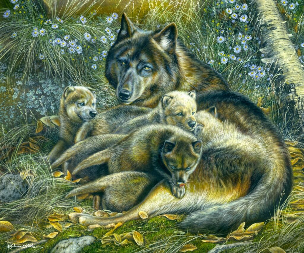 Golden Solace - Wolf Family, 20x24", opaque & transparent watercolor on museum board, Rebecca Latham